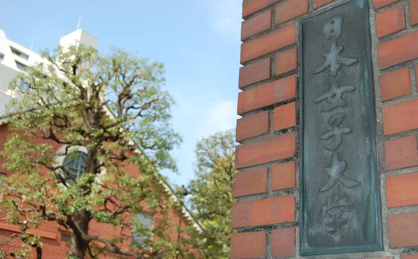 日本女子大学 教育学科の会のメインビジュアル1