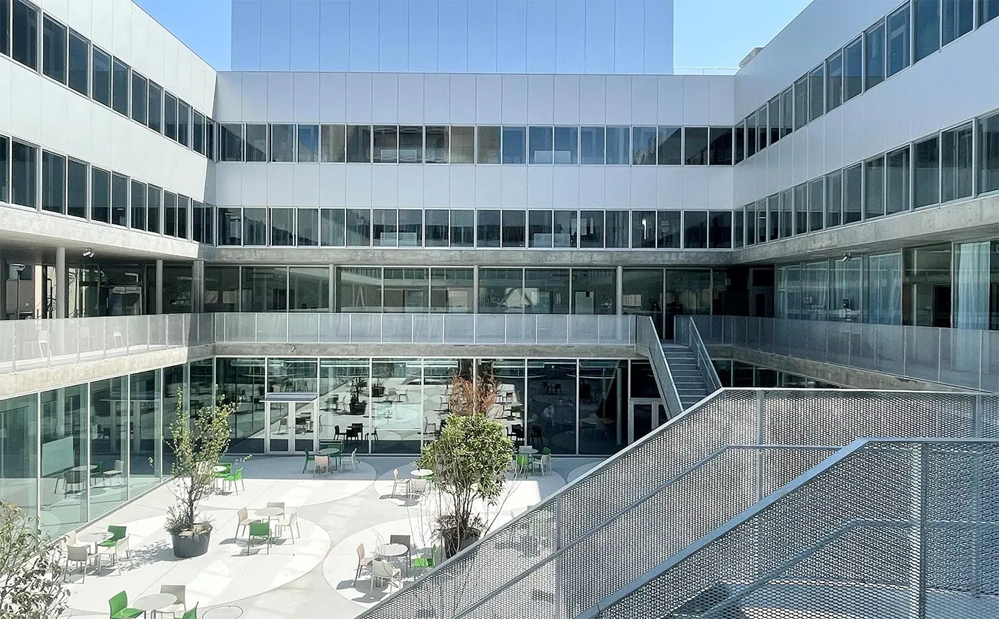 日本女子大学 教育学科の会のメインビジュアル2