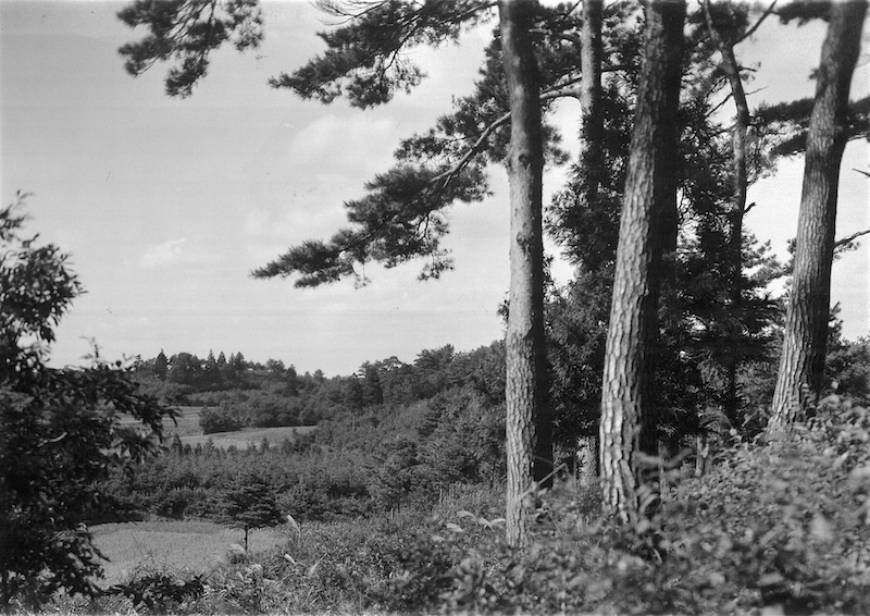 1934年当時の西生田校地